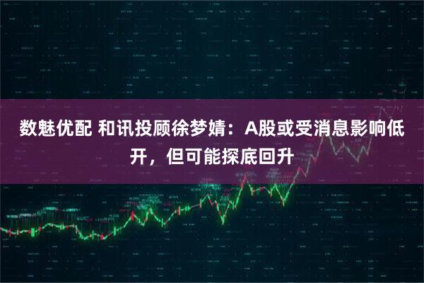 数魅优配 和讯投顾徐梦婧：A股或受消息影响低开，但可能探底回升