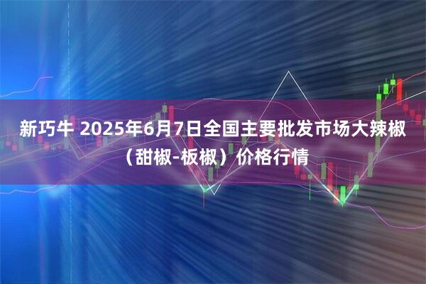 新巧牛 2025年6月7日全国主要批发市场大辣椒（甜椒-板椒）价格行情