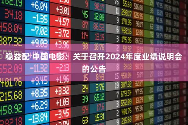 稳益配 中国电影：关于召开2024年度业绩说明会的公告