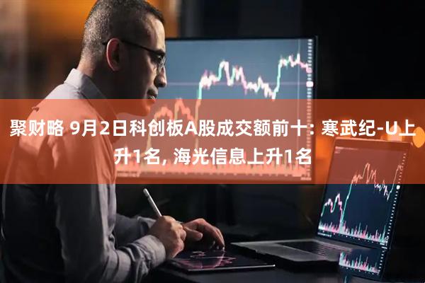 聚财略 9月2日科创板A股成交额前十: 寒武纪-U上升1名, 海光信息上升1名