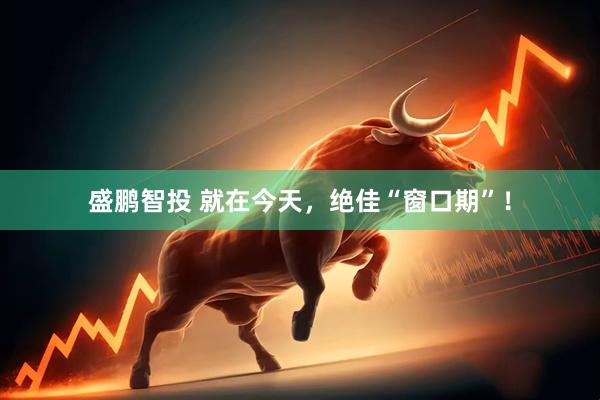 盛鹏智投 就在今天，绝佳“窗口期”！
