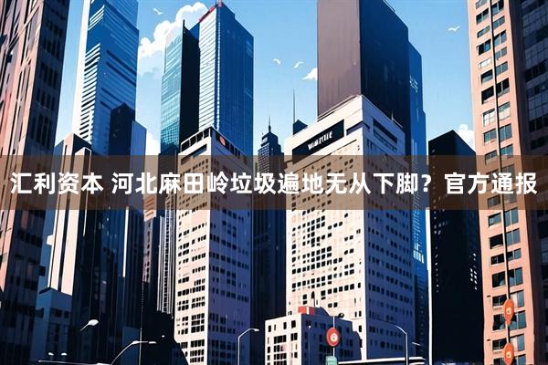 汇利资本 河北麻田岭垃圾遍地无从下脚？官方通报