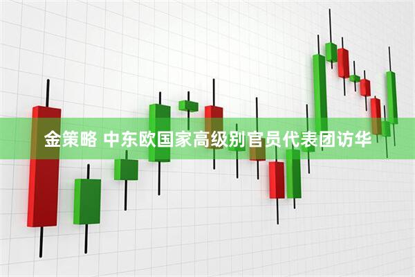 金策略 中东欧国家高级别官员代表团访华